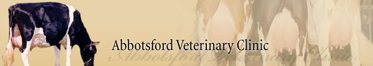 Abbotsford Veterinary Clinic